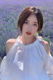 花房姑娘免费观看全集中国电视剧